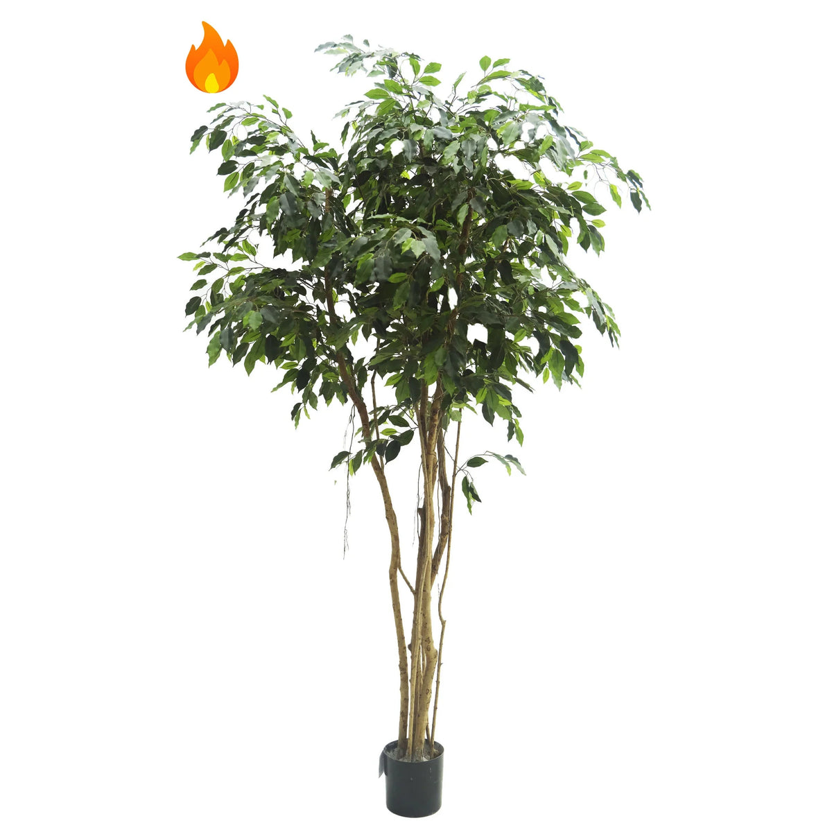 Ficus Tropical artificial con Lianas Ignífugo de 250 cm, color verde