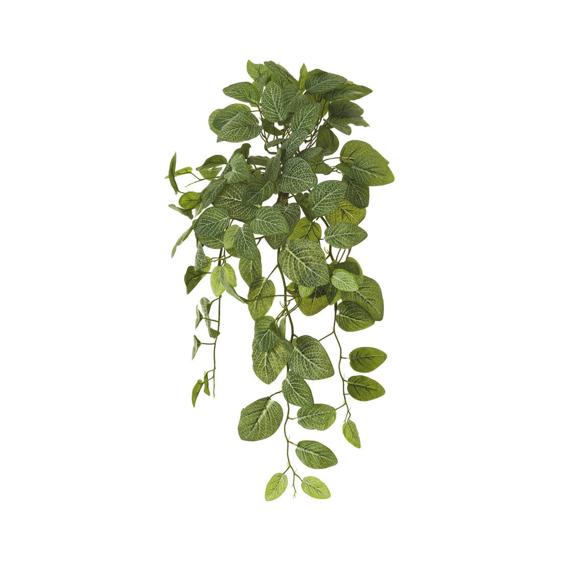 Fitonia artificial Colgante de 68 cm, color único