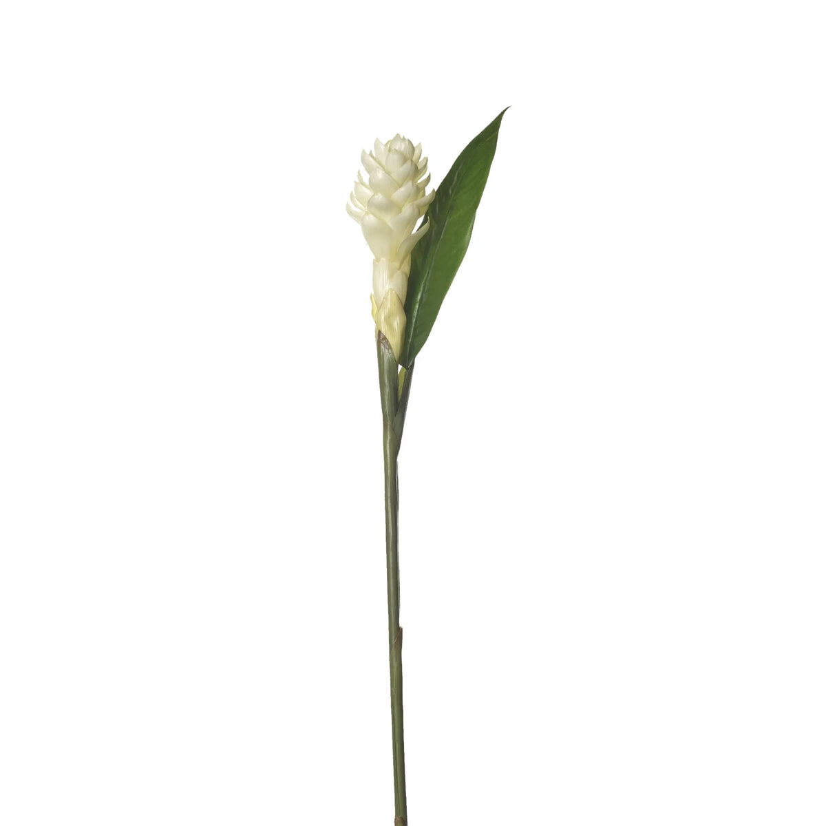 Flor de Jengibre Antorcha artificial en Vara con Hoja de 98 cm, color blanco