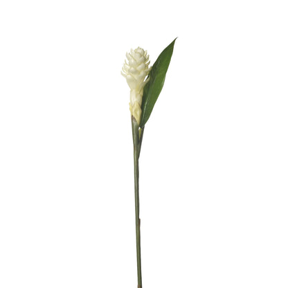 Flor de Jengibre Antorcha artificial en Vara con Hoja de 98 cm, color blanco