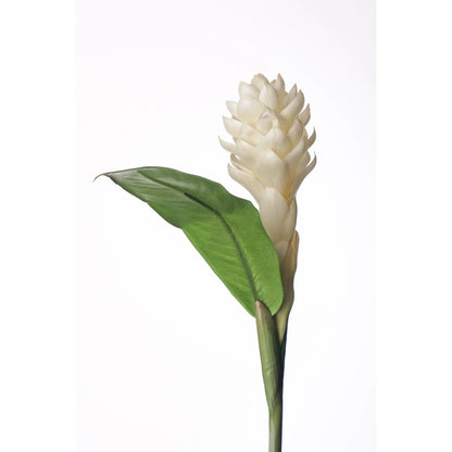 Flor de Jengibre Antorcha artificial en Vara con Hoja de 98 cm, color blanco