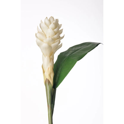 Flor de Jengibre Antorcha artificial en Vara con Hoja de 98 cm, color blanco