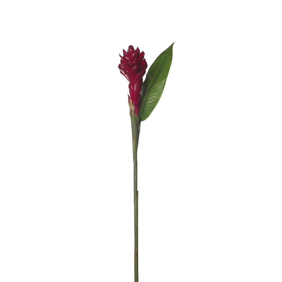 Flor de Jengibre Antorcha artificial en Vara con Hoja de 98 cm, color rojo