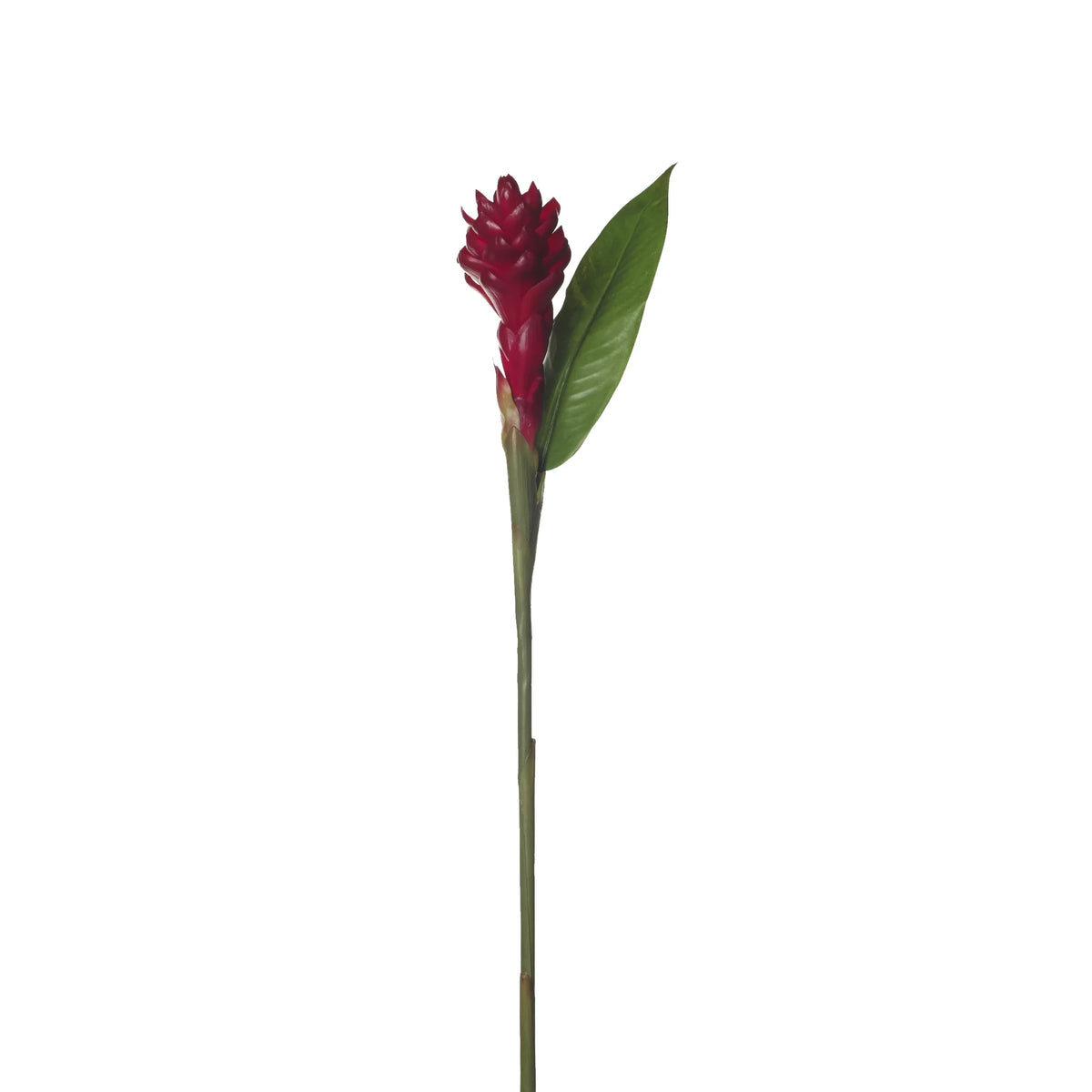 Flor de Jengibre Antorcha artificial en Vara con Hoja de 98 cm, color rojo