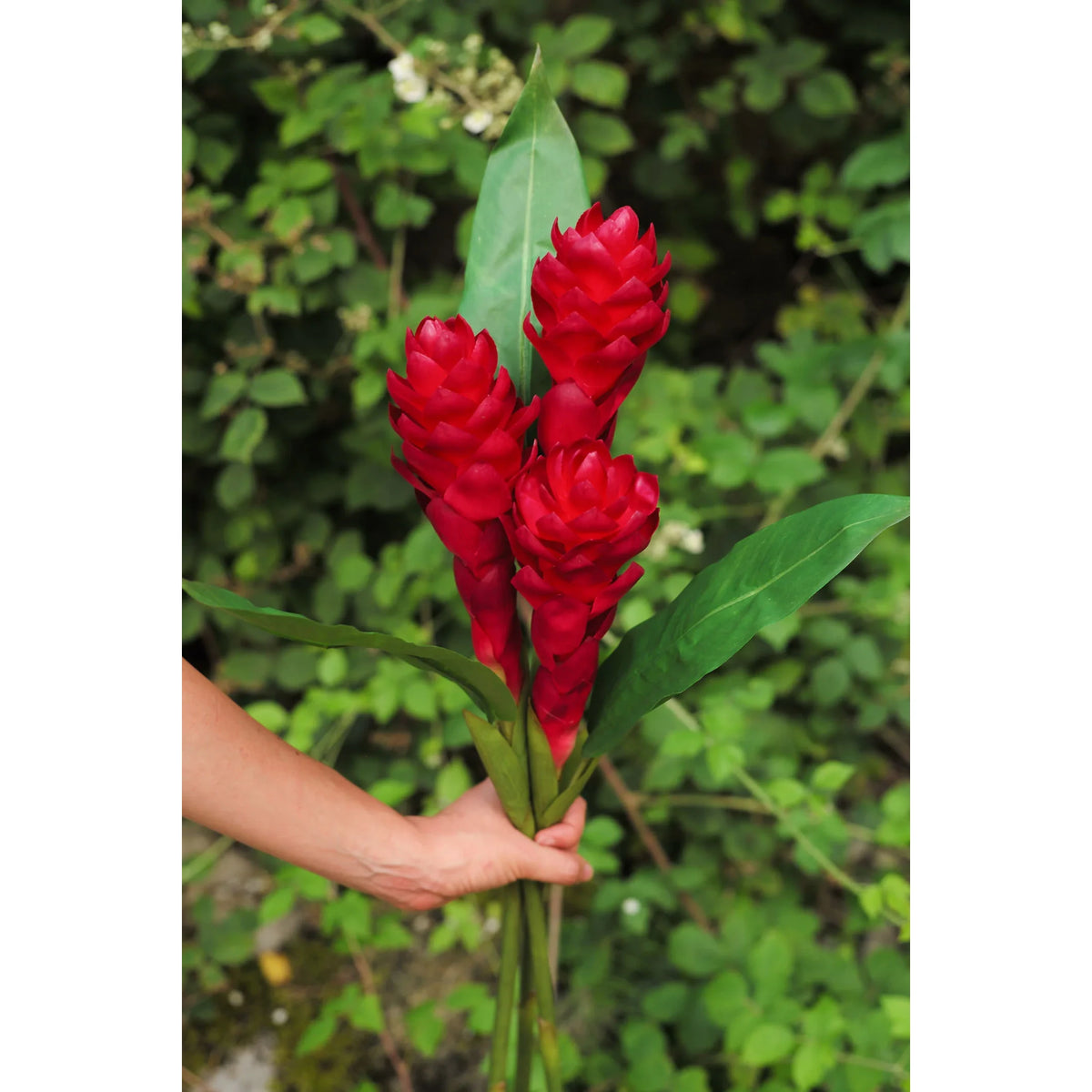 Flor de Jengibre Antorcha artificial en Vara con Hoja de 98 cm, color rojo