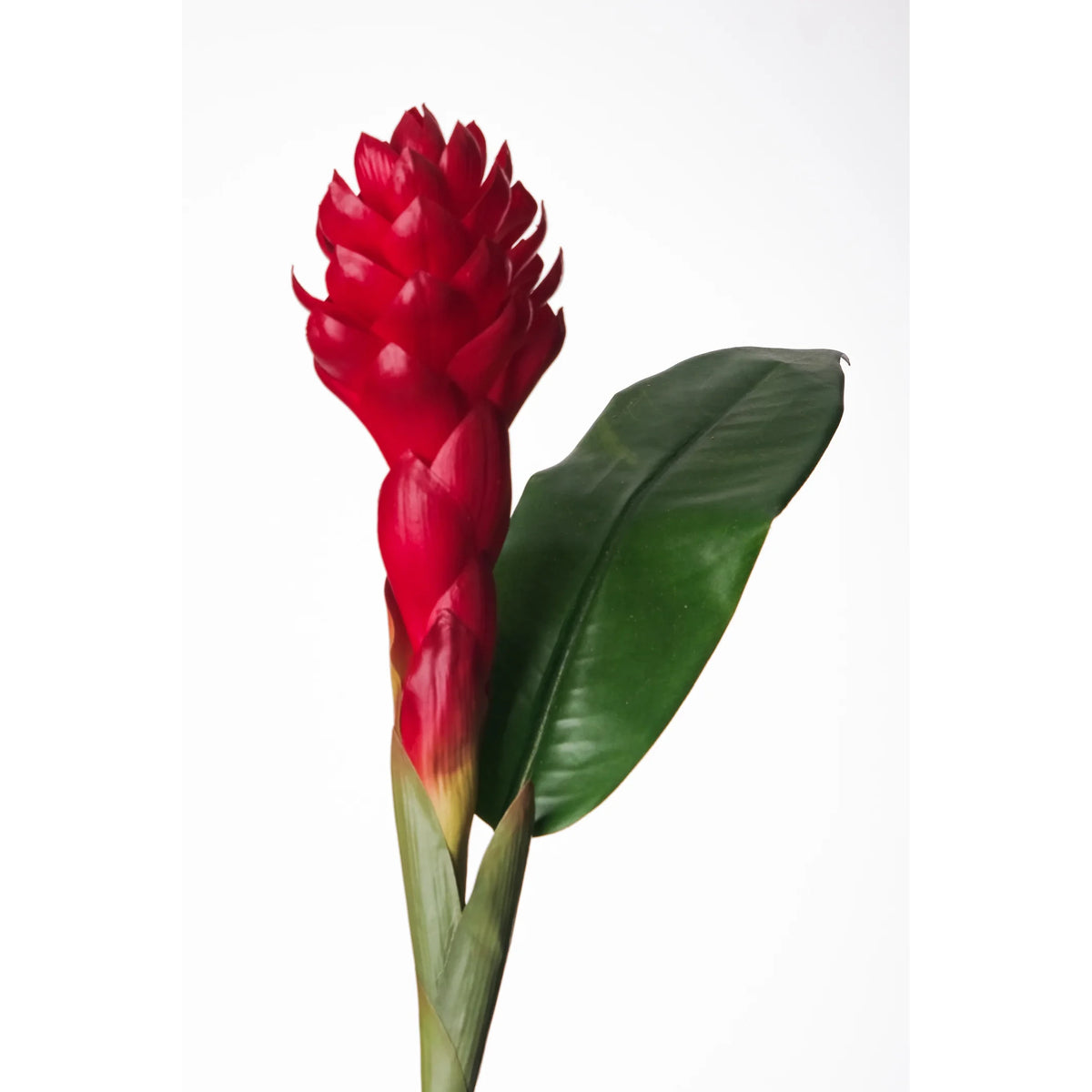 Flor de Jengibre Antorcha artificial en Vara con Hoja de 98 cm, color rojo