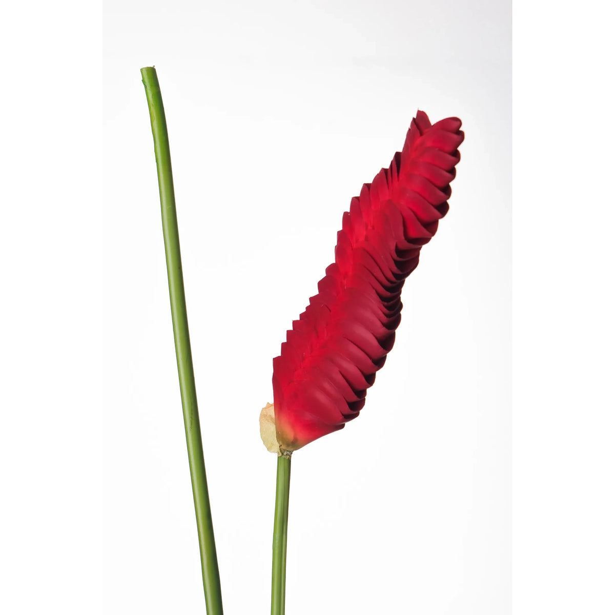 Flor de Jengibre artificial Colgante de 105 cm, color rojo