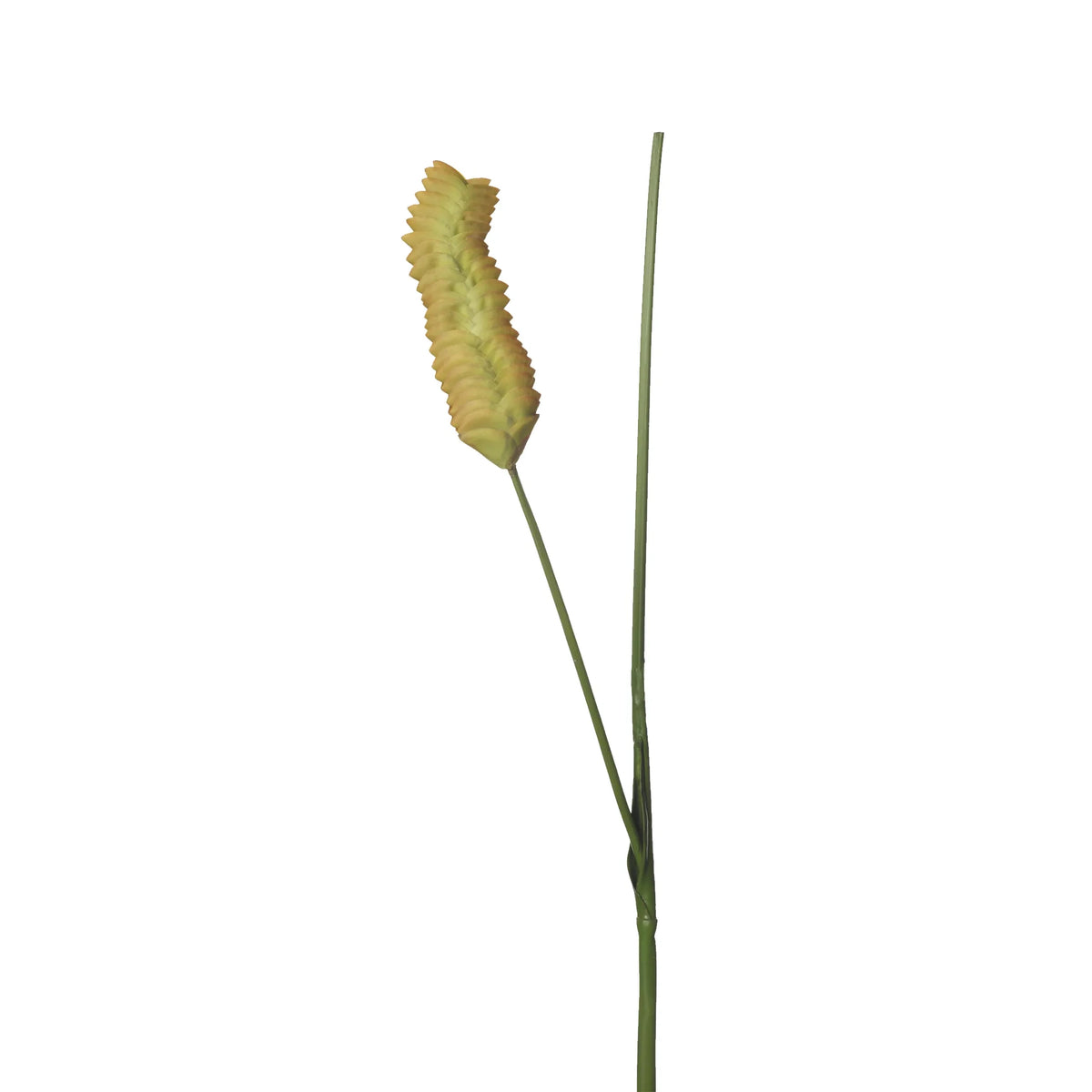 Flor de Jengibre artificial Colgante de 105 cm, color verde