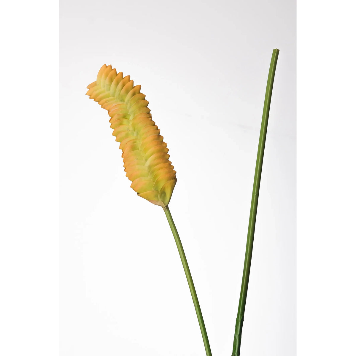 Flor de Jengibre artificial Colgante de 105 cm, color verde