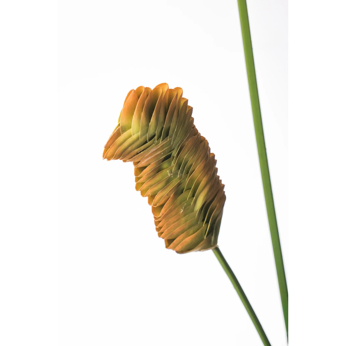 Flor de Jengibre artificial Colgante de 105 cm, color verde