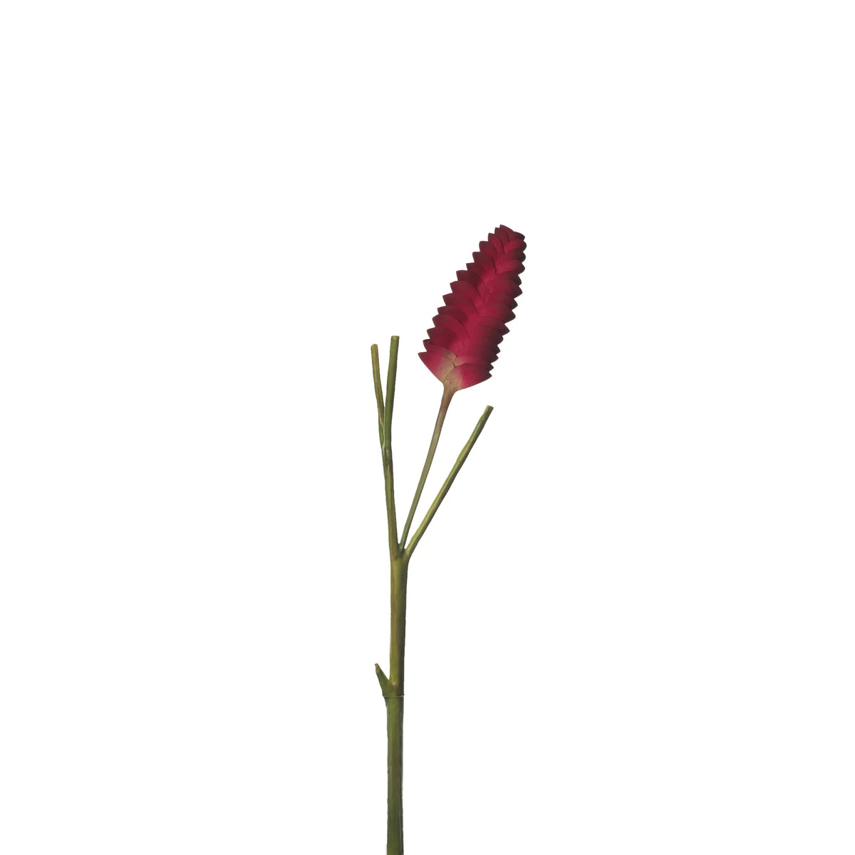 Flor de Jengibre artificial Colgante de 65 cm, color rojo