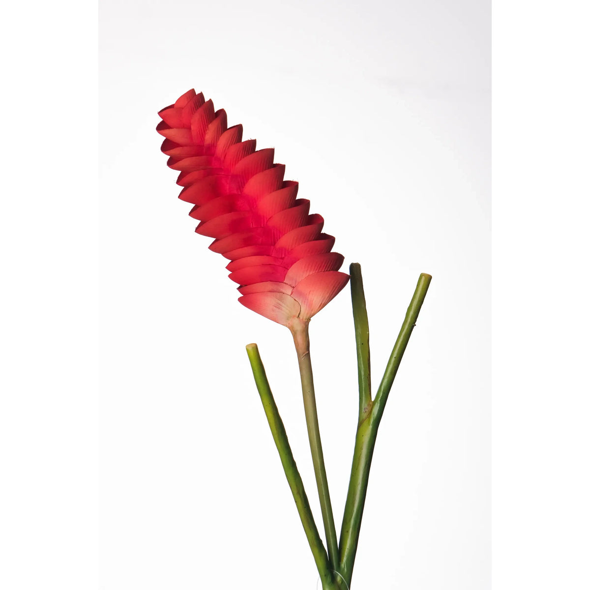 Flor de Jengibre artificial Colgante de 65 cm, color rojo