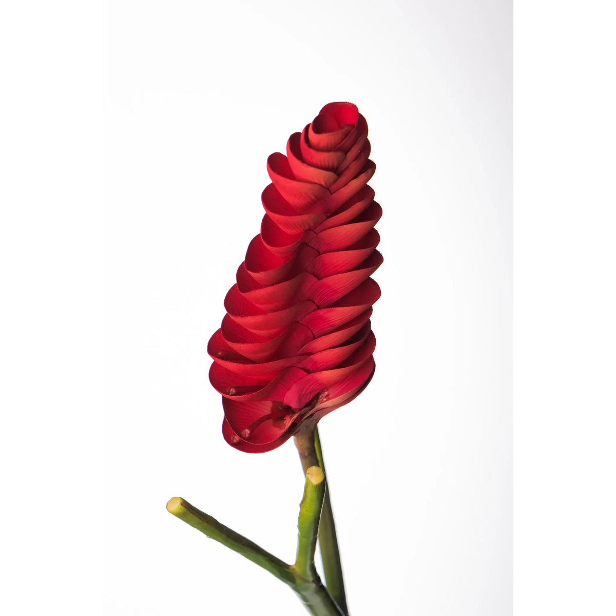Flor de Jengibre artificial Colgante de 65 cm, color rojo