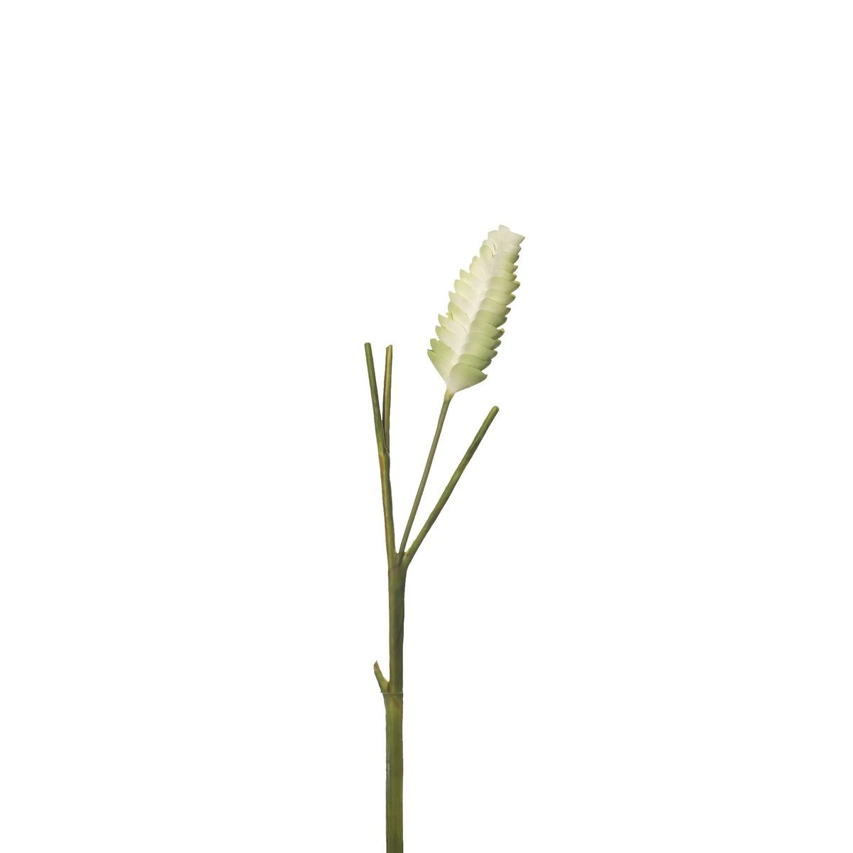 Flor de Jengibre artificial Colgante de 65 cm, color verde