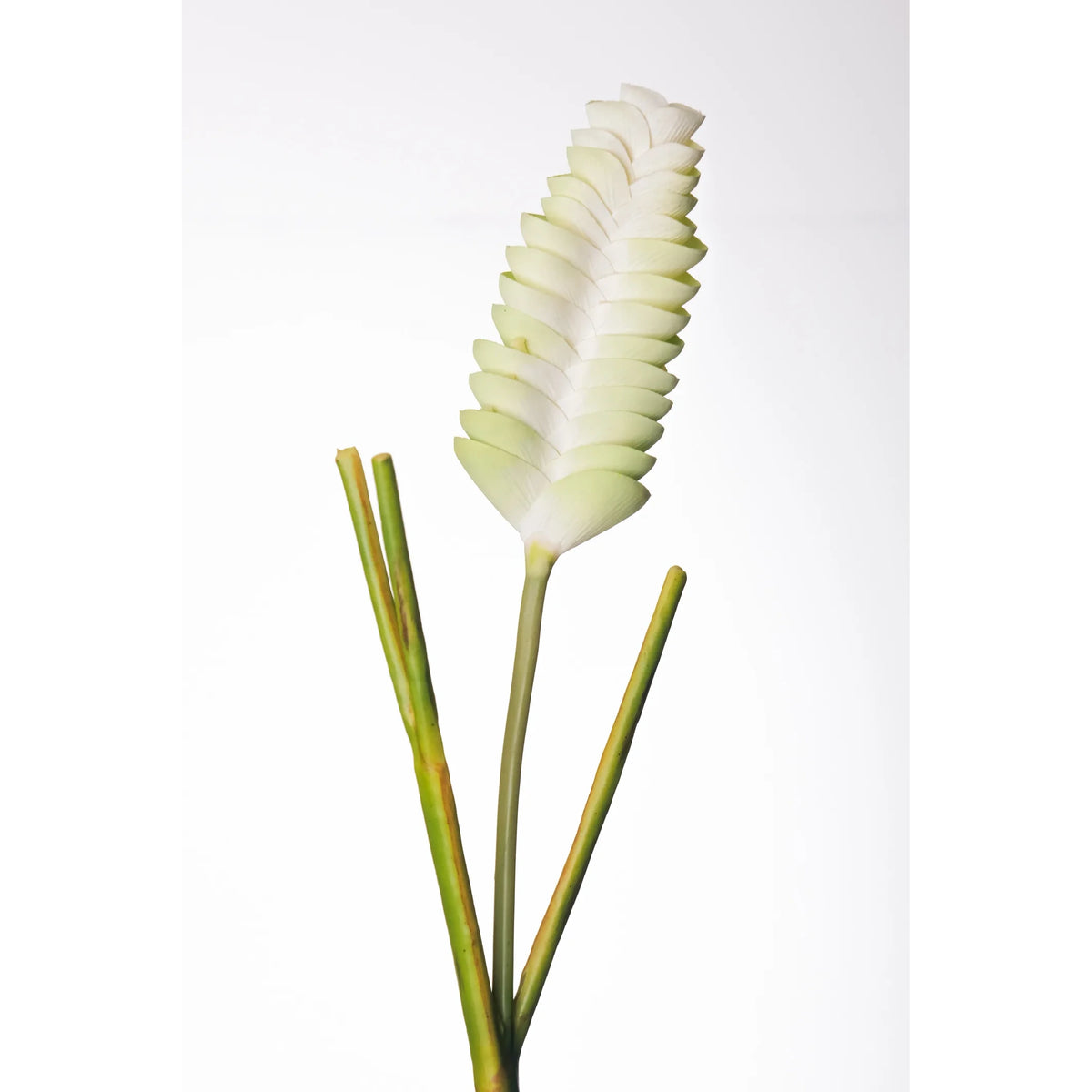 Flor de Jengibre artificial Colgante de 65 cm, color verde
