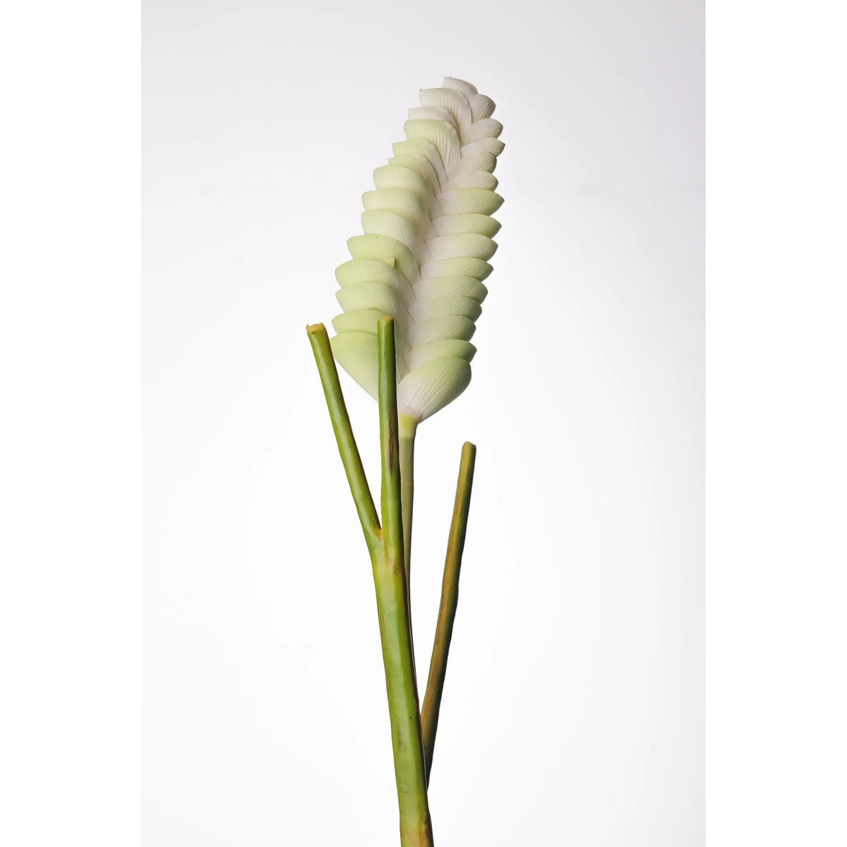 Flor de Jengibre artificial Colgante de 65 cm, color verde