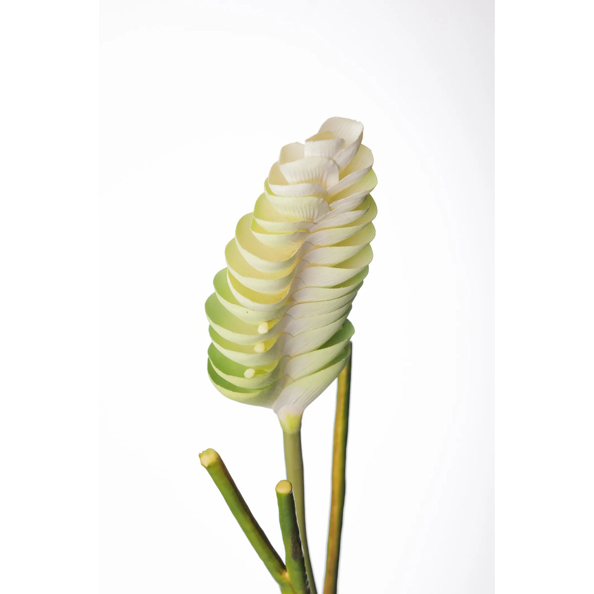Flor de Jengibre artificial Colgante de 65 cm, color verde