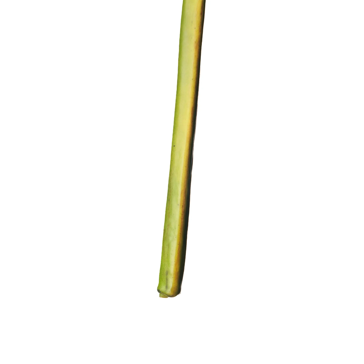Flor de Jengibre artificial Colgante de 65 cm, color verde