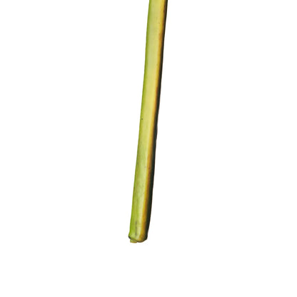 Flor de Jengibre artificial Colgante de 65 cm, color verde