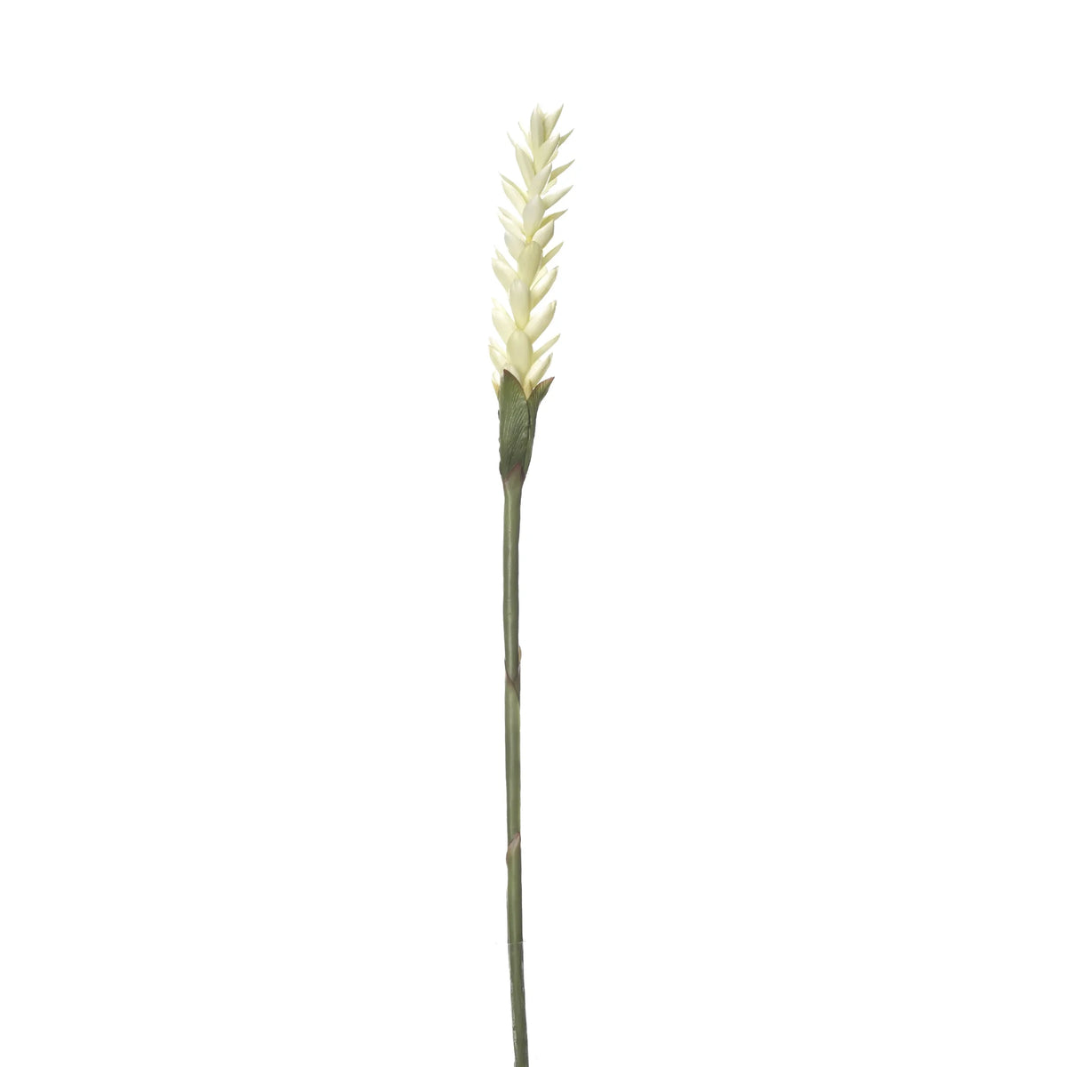 Flor de Jengibre artificial en Vara de 88 cm, color blanco