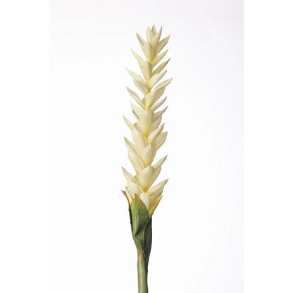 Flor de Jengibre artificial en Vara de 88 cm, color blanco