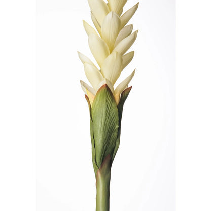 Flor de Jengibre artificial en Vara de 88 cm, color blanco