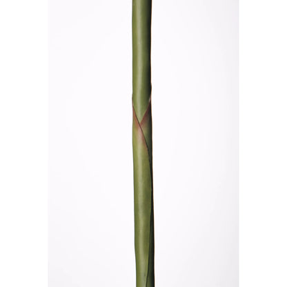 Flor de Jengibre artificial en Vara de 88 cm, color blanco
