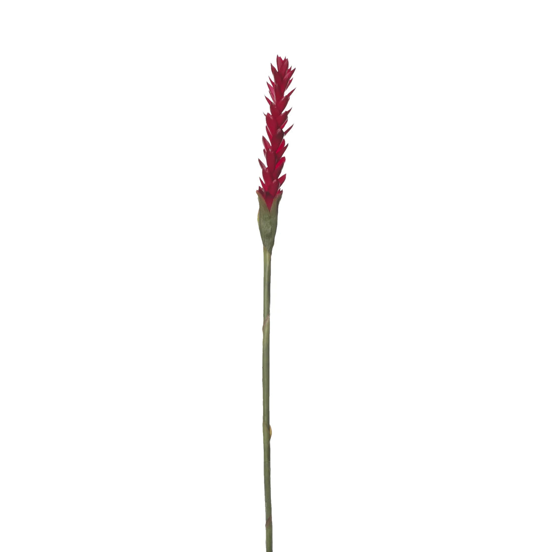 Flor de Jengibre artificial en Vara de 88 cm, color rojo