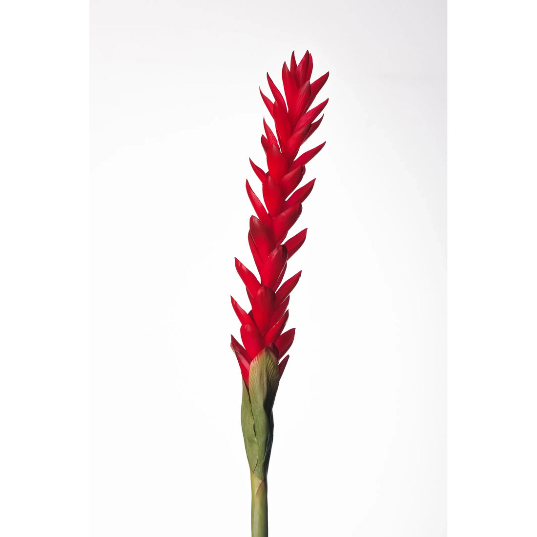 Flor de Jengibre artificial en Vara de 88 cm, color rojo