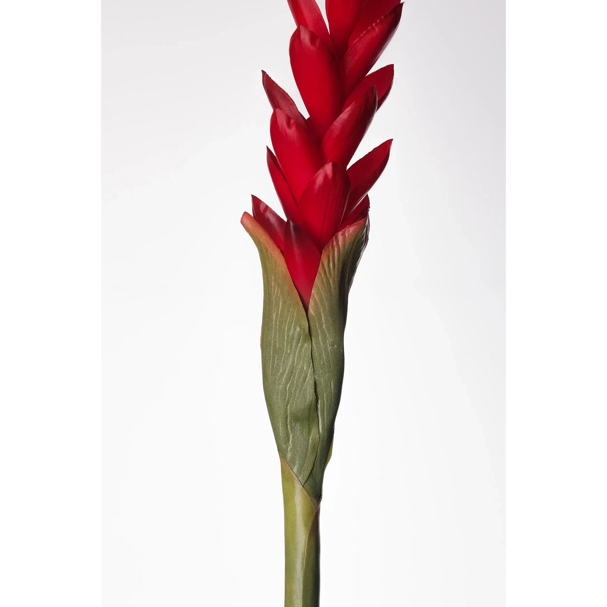 Flor de Jengibre artificial en Vara de 88 cm, color rojo