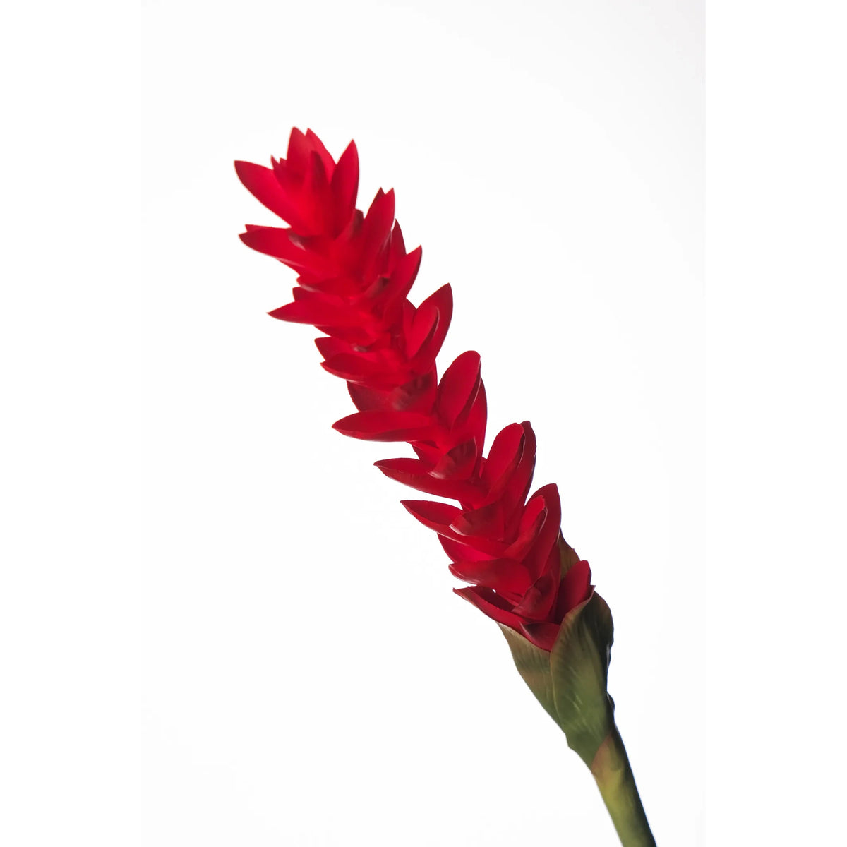 Flor de Jengibre artificial en Vara de 88 cm, color rojo