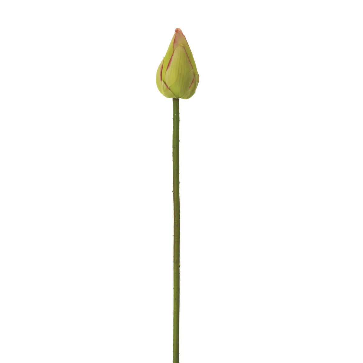 Flor de Loto artificial Cerrada de 107 cm, color verde y blanco