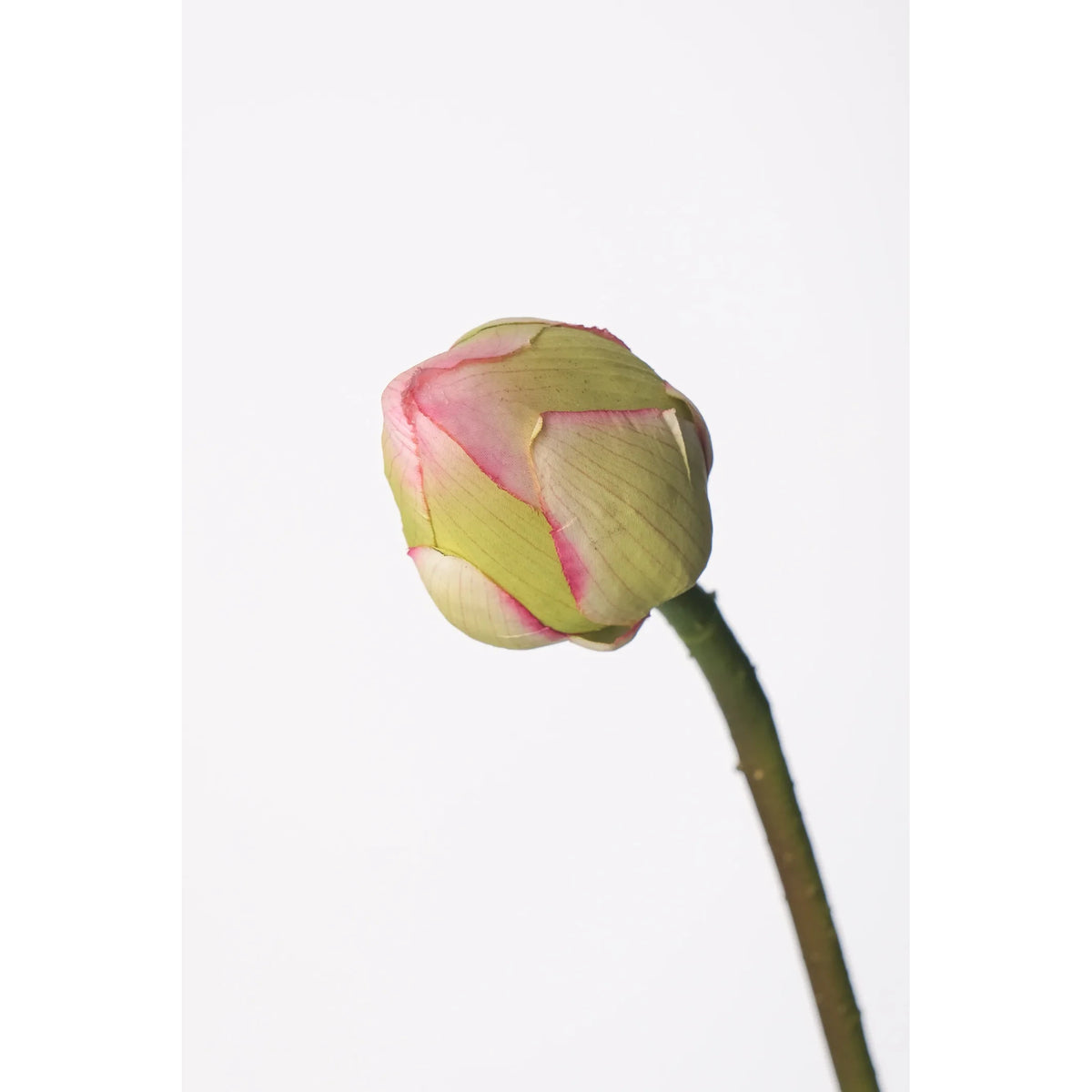 Flor de Loto artificial Cerrada de 107 cm, color verde y blanco