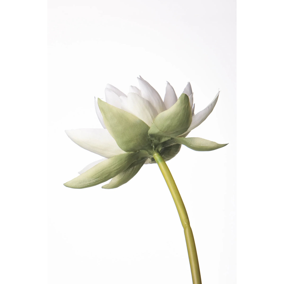 Flor de Loto artificial Mediana de 87 cm, color blanco