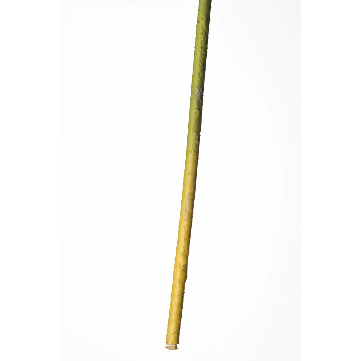 Flor de Loto artificial Mediana de 87 cm, color blanco
