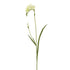 Fresia artificial de 61 cm, color blanco
