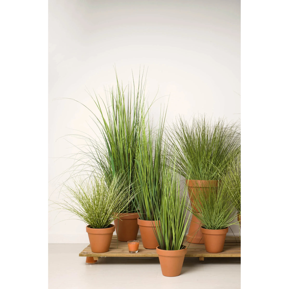 Montaje: gramínea artificial de 64 cm, color bicolor; las otras piezas no se incluyen