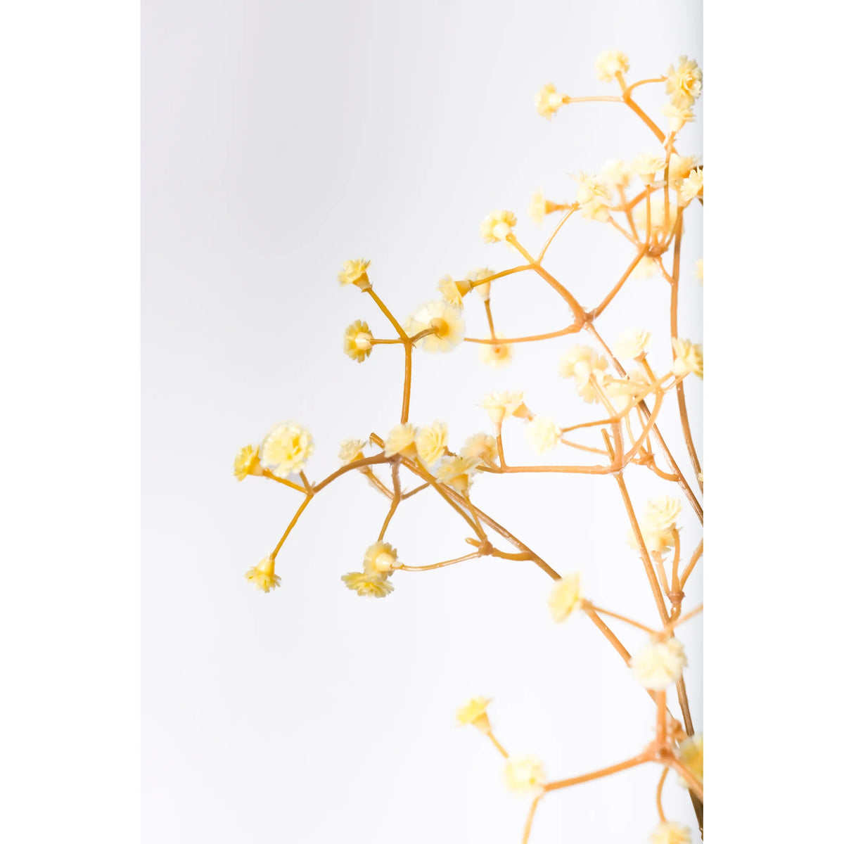 Gypsophila artificial de 48 cm, color beige