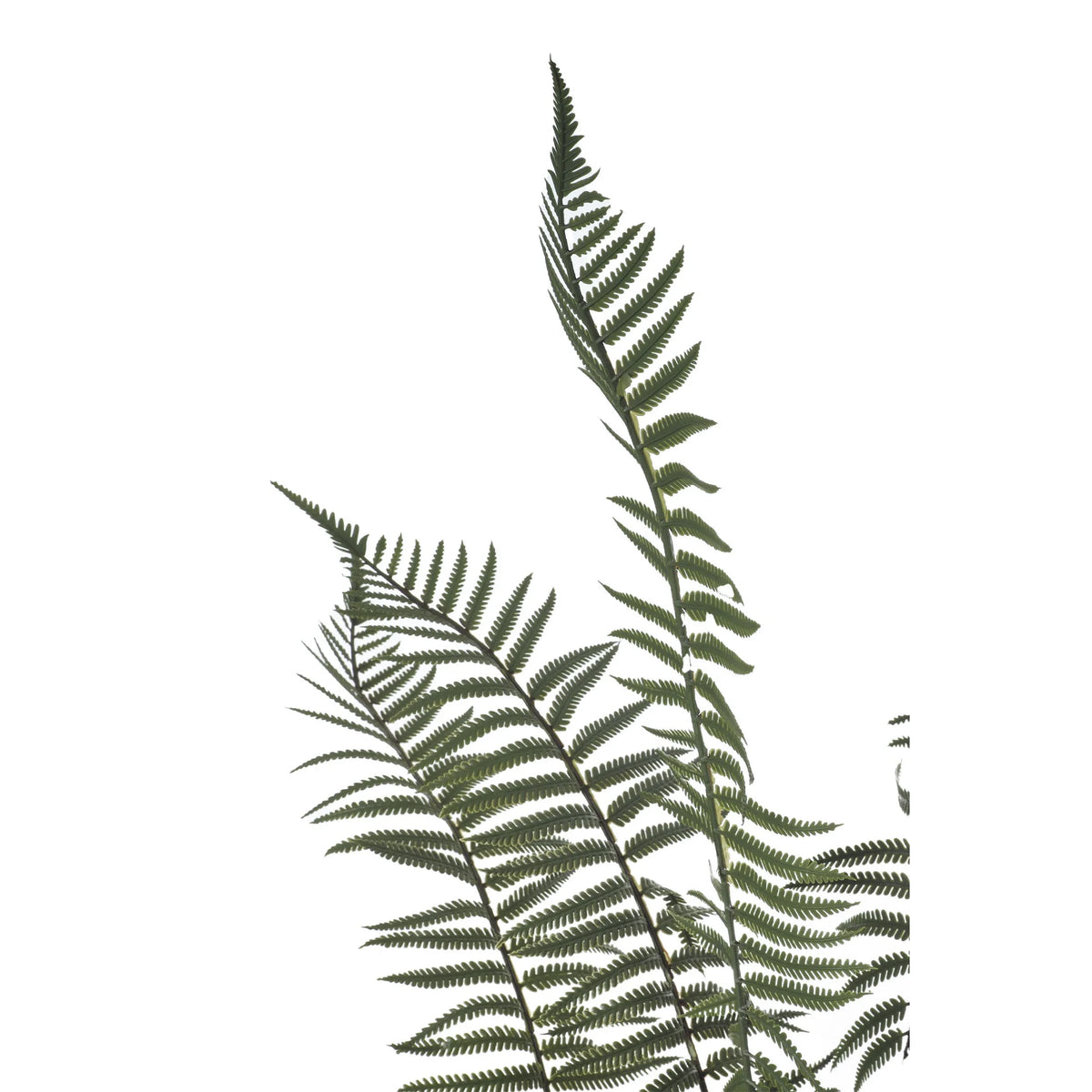 Helecho artificial de 150 cm, color verde