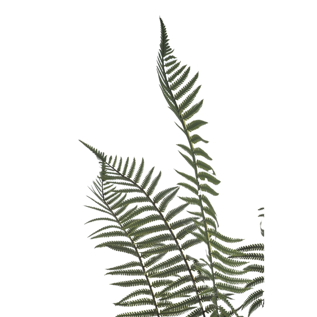 Helecho artificial de 180 cm, color verde