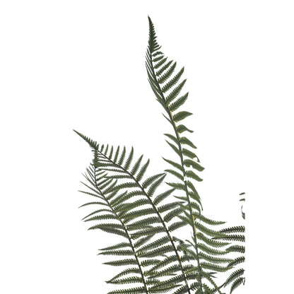 Helecho artificial de 180 cm, color verde