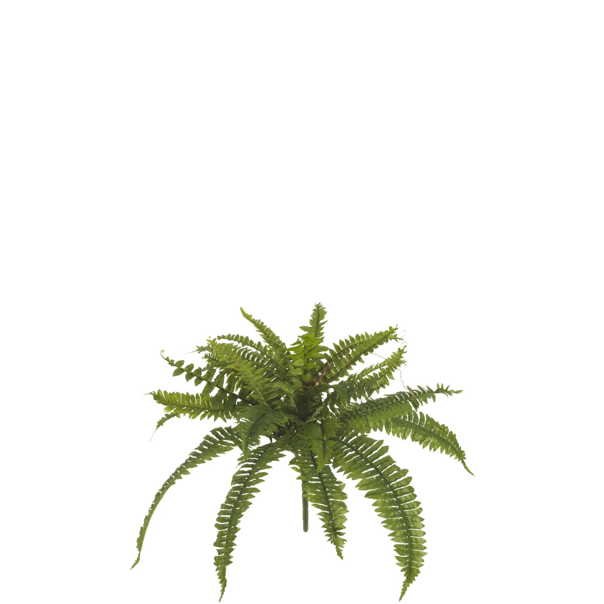 Helecho artificial de 50 cm, color verde