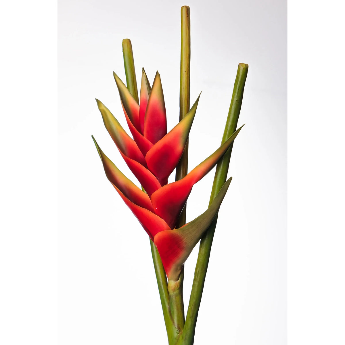 Heliconia artificial de 112 cm, color rojo
