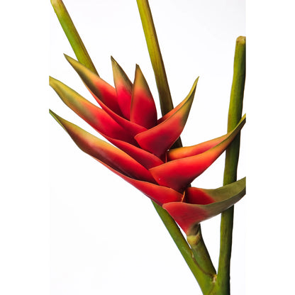Heliconia artificial de 112 cm, color rojo