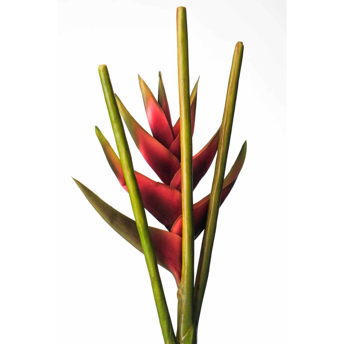 Heliconia artificial de 112 cm, color rojo