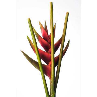 Heliconia artificial de 112 cm, color rojo