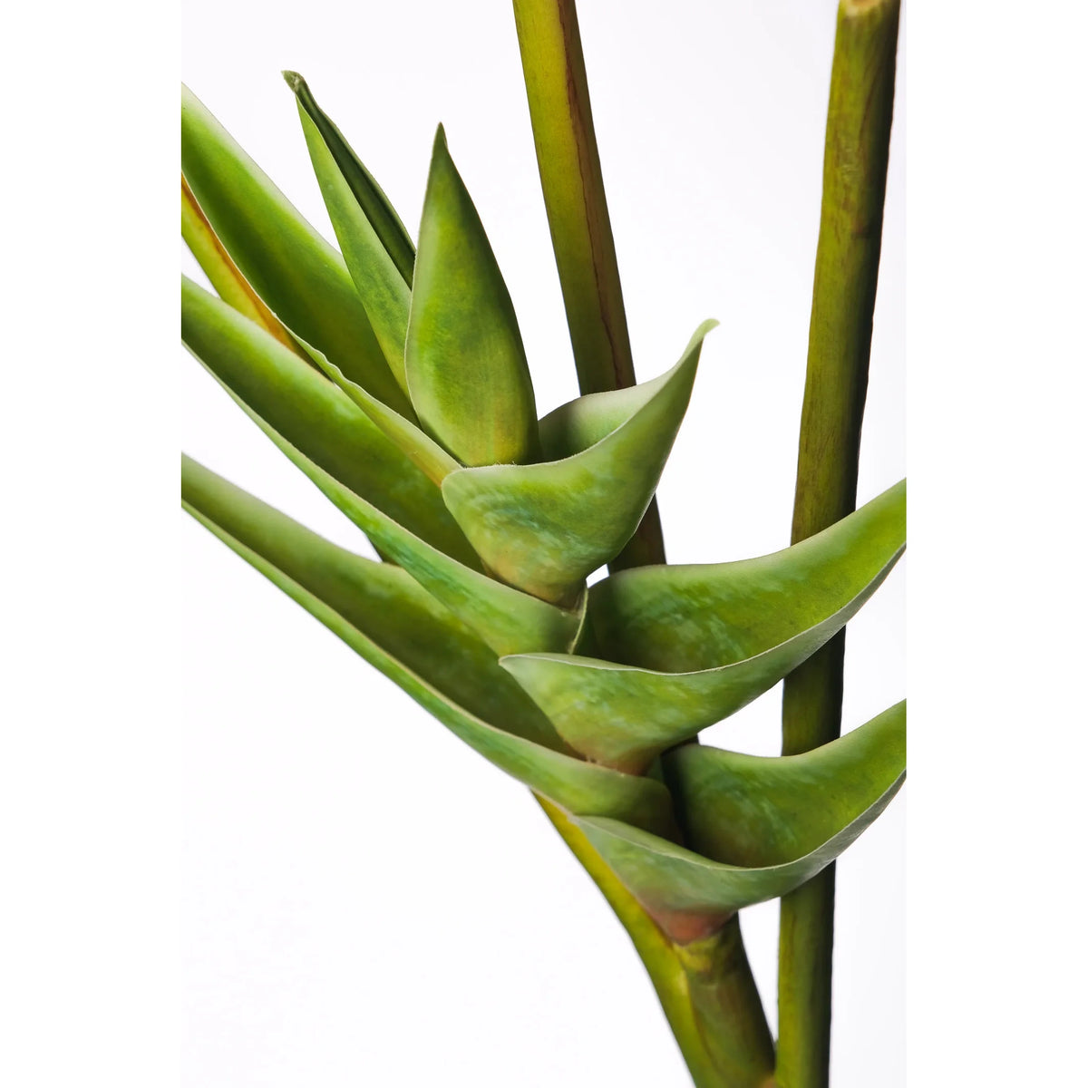 Heliconia artificial de 112 cm, color verde