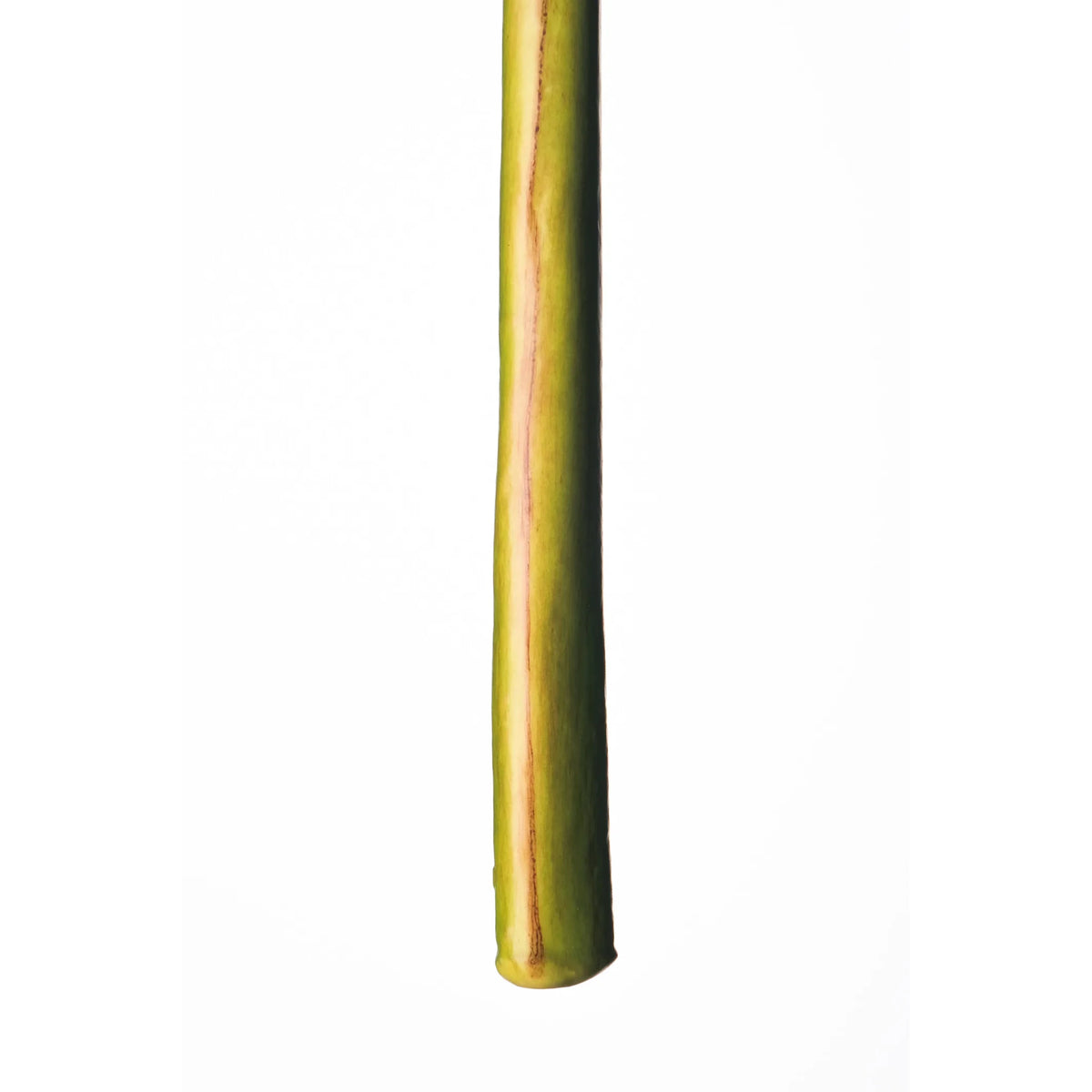 Heliconia artificial de 112 cm, color verde