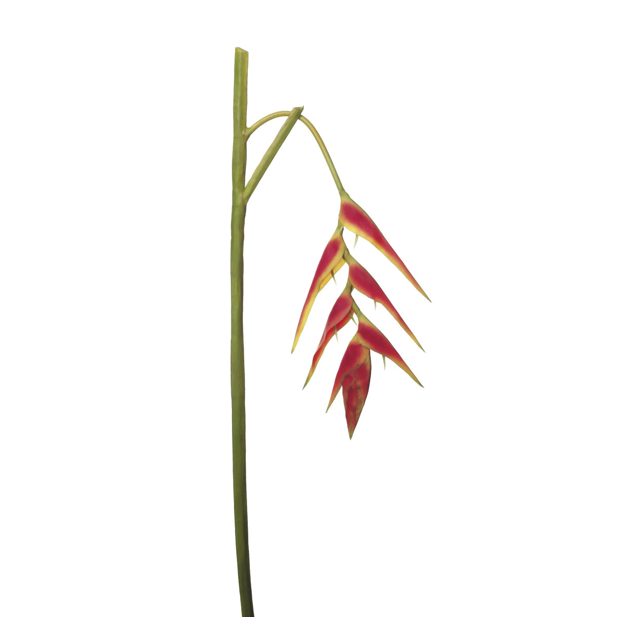 Heliconia artificial Colgante de 170 cm, color rojo