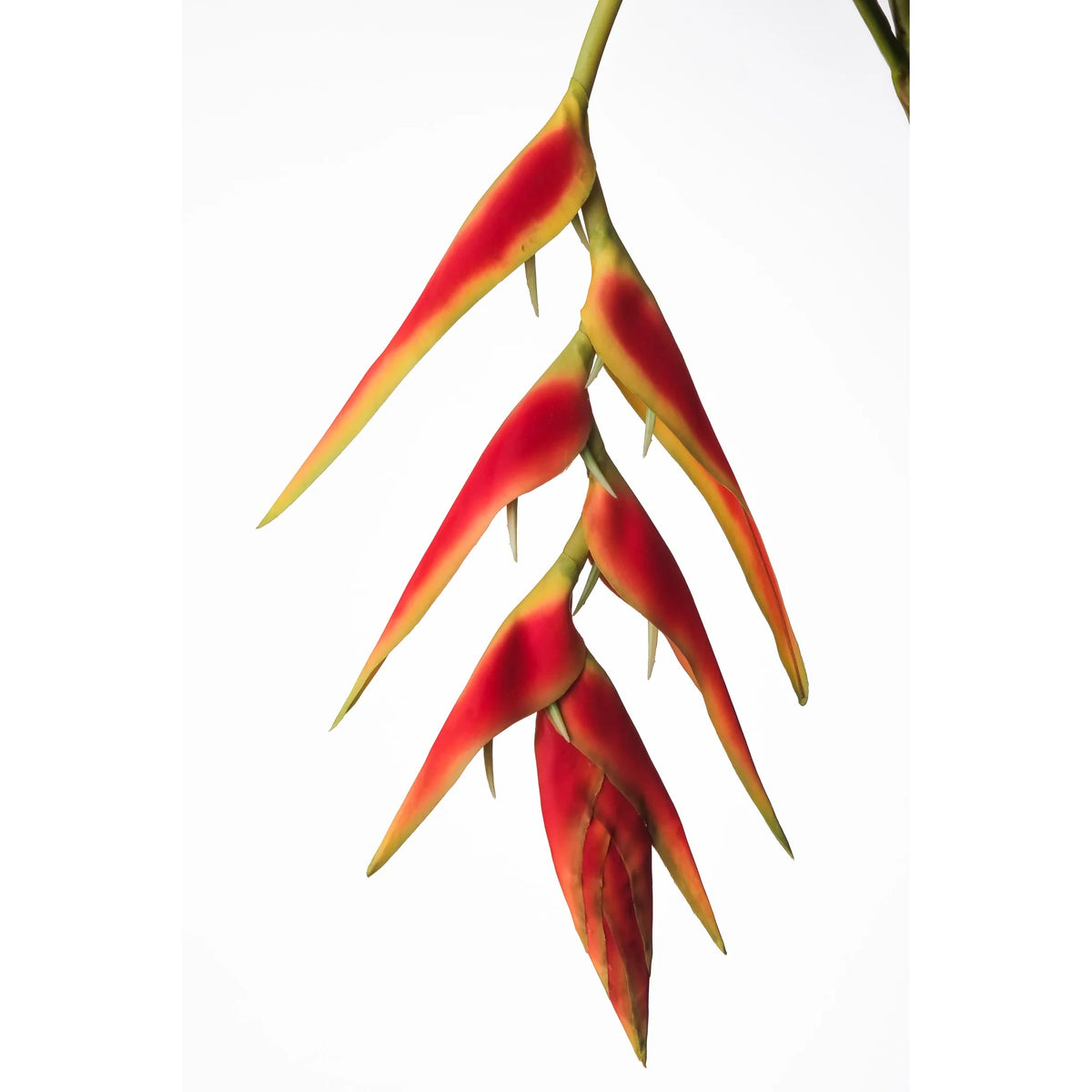 Heliconia artificial Colgante de 170 cm, color rojo